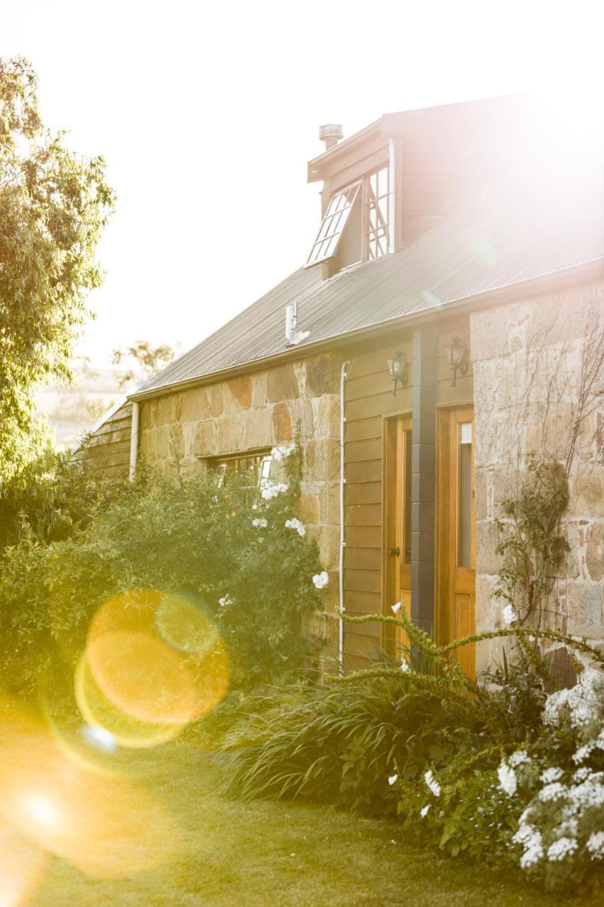 Daisy Bank Cottages Ρίτσμοντ Εξωτερικό φωτογραφία