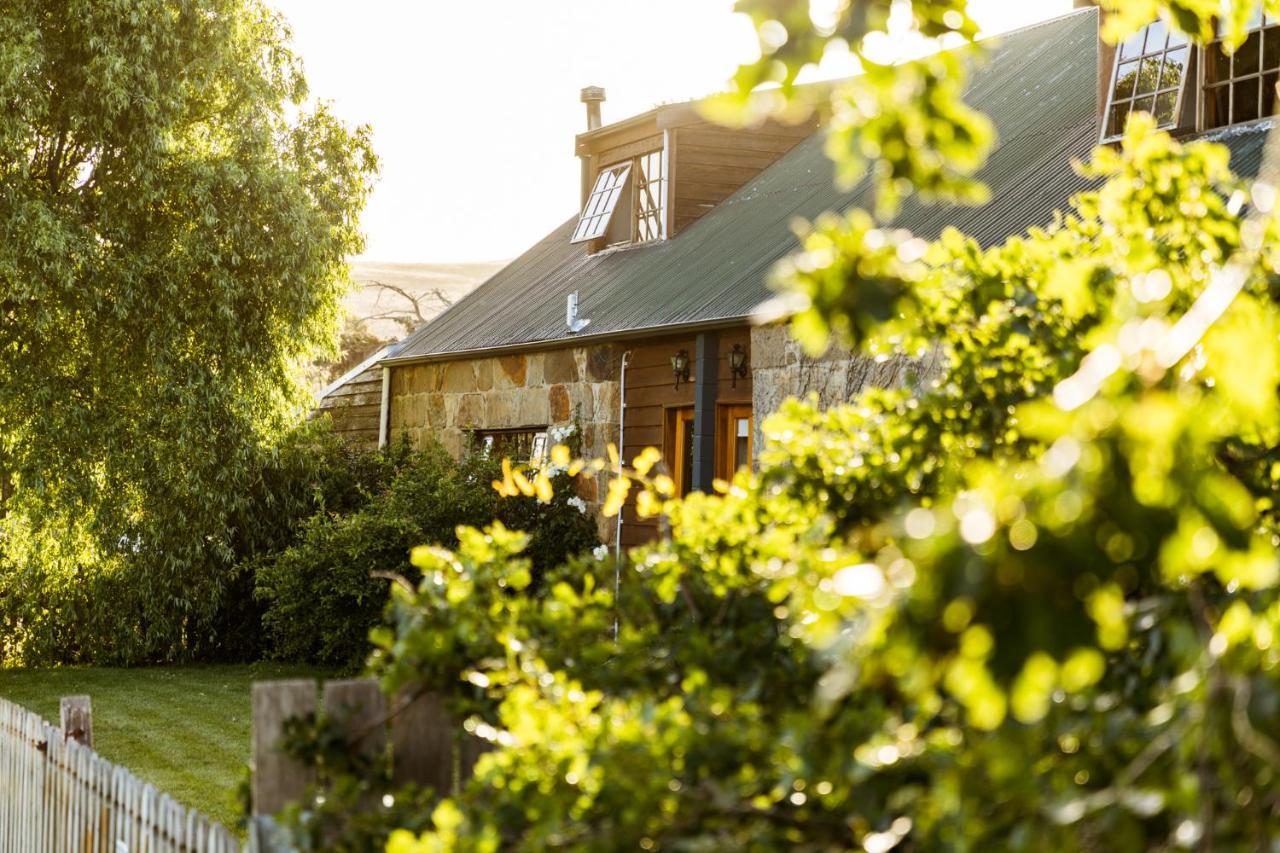 Daisy Bank Cottages Ρίτσμοντ Εξωτερικό φωτογραφία